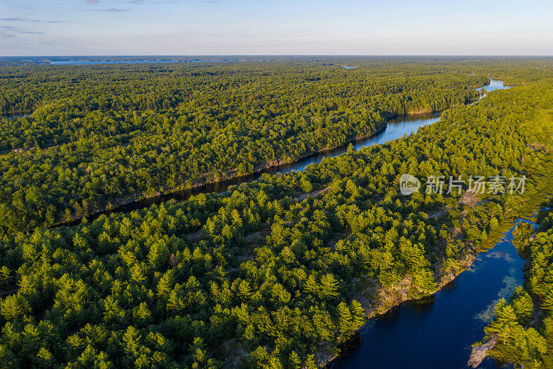 Muskoka Torrance Barrens暗天保护区和高地池塘，Gravenhurst，加拿大